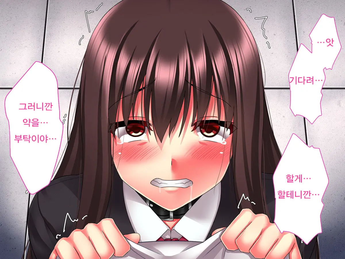 Kimeseku Nikuana Pet ~ Boku O Futta Takabisha Onna O Kankin Site Kusuri De Kuppuku Saseru ~